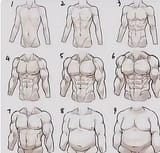 body fat