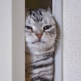 346