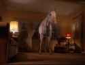 twin-peaks-horse_thumb.jpg