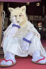 fursuit114
