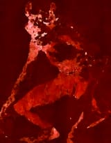 DRONED (3) (2) (8)