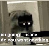 catinsane
