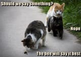 should-we-say-something-nope-the-bee-will-say-it-best