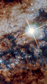nova