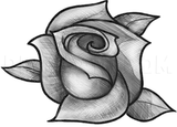 how-to-sketch-a-rose-step-11_5e4c9db5201d91.11113581_52700_3_3