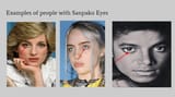 Thread 40532303 OP Image