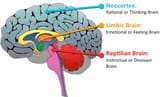 Tricameral