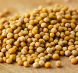 mustardseed