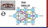 crab