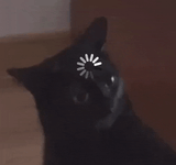 cat exe has stopped working
