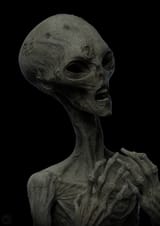 colin-shulver-ma-1