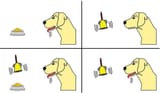 pavlov2-e1698175375621