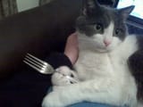 tumblr_lkqbn1mKjz1qhwmnpo1_640