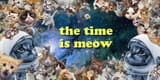 TimeIsMeow