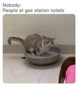 vhhlfwludpz71