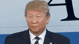 chinesetrump