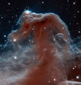 Horsehead_Nebula_1098