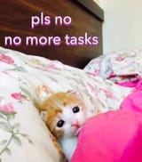 1dfd50b7525d35c21af2e_67e3436a_1280