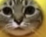 1739077659880129