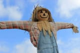 strawman