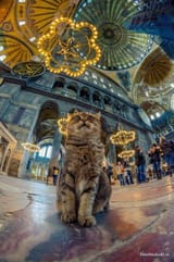 FB_IMG_1607276479922