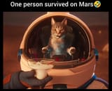 meownobody