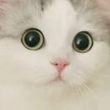 1598373289295
