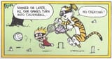calvinball