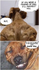 dog-yujiro-aint-fucking-around-v0-2xdbyg8vy9ha1