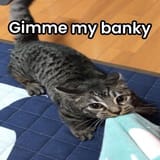 1732975078619603