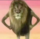 Idk maign