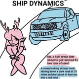Ship Dynamics Deer