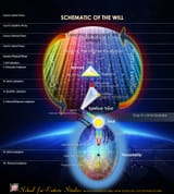 Schematic of the Will.eng