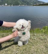 IMG_0720