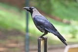 IMG_5873