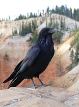 IMG_5875