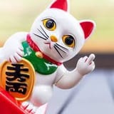 images (94)