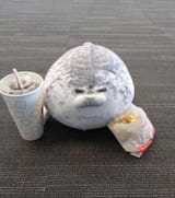 GBwNZdobwAAzHAK
