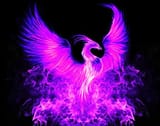 Still_I_Rise