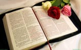 bible