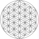 Flower-of-Life-small.svg-2