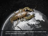 Lobster-Planet