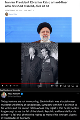 RaisiShah