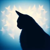 Cathédrale des Souvenirs (Cathedral of Meows)(1)