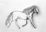 reverse horse meme
