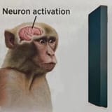 1724082200407551