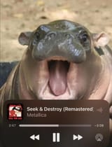 1744352990490148