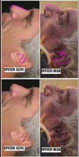 They killed a homeless man for Epstein