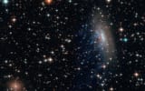 cosmos