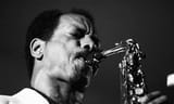 ornette